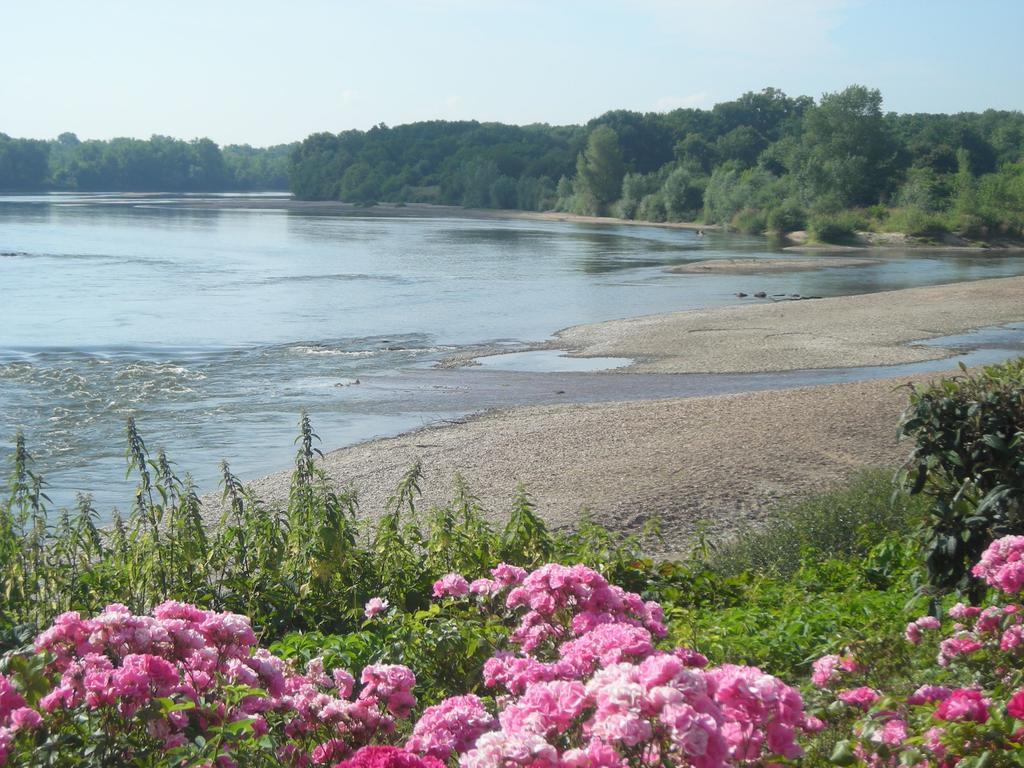 Hotel De La Loire Saint-Satur Екстер'єр фото